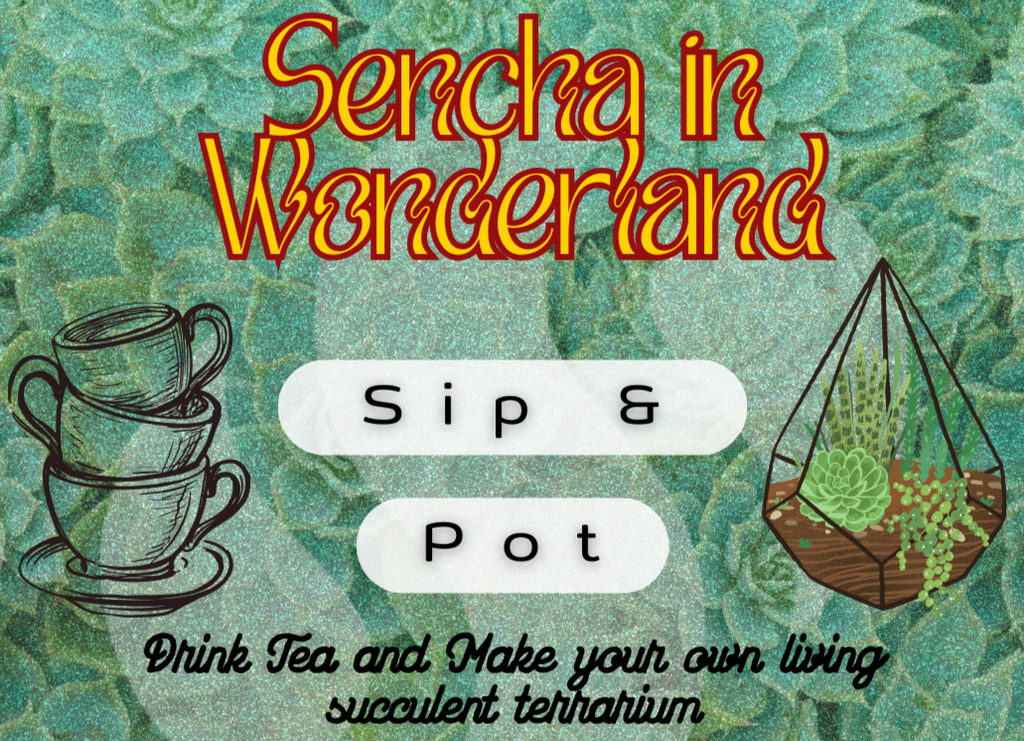 Sencha in Wonderland: Sip and Pot *Uptown*