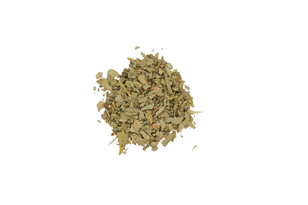 Eucalyptus